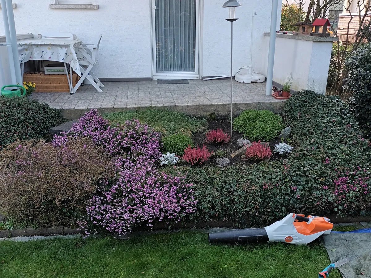 Bepflanzter Streifen entlang der Terrasse — Gartenprofi 2010