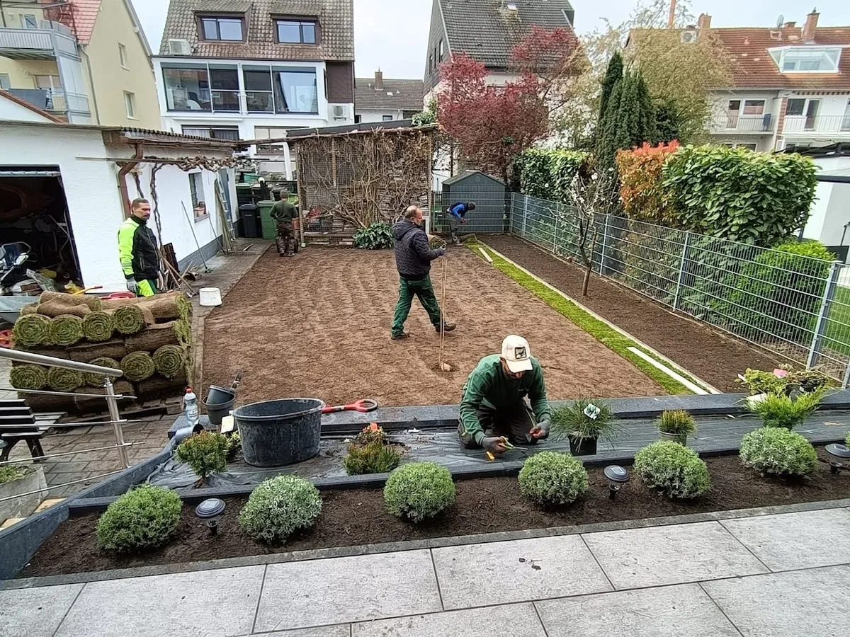 Das Team von Gartenprofi 2010 beim Verlegen von Rollrasen und beim Bepflanzen der Beetkante